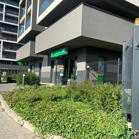 Pachecos' Garden * Краков